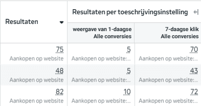 Meta Ads - Attributie window 1